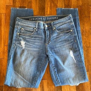 Articles of Society Karen Crop